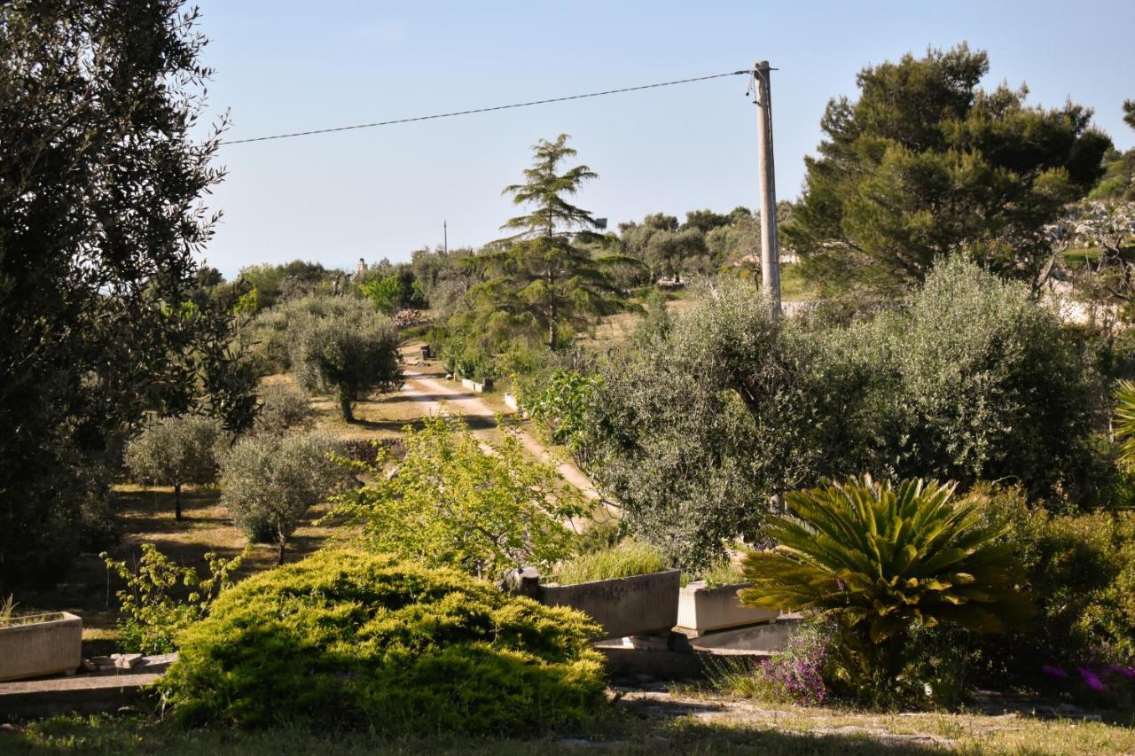 Terre D'Amore - For Couples Hotell Ostuni Eksteriør bilde