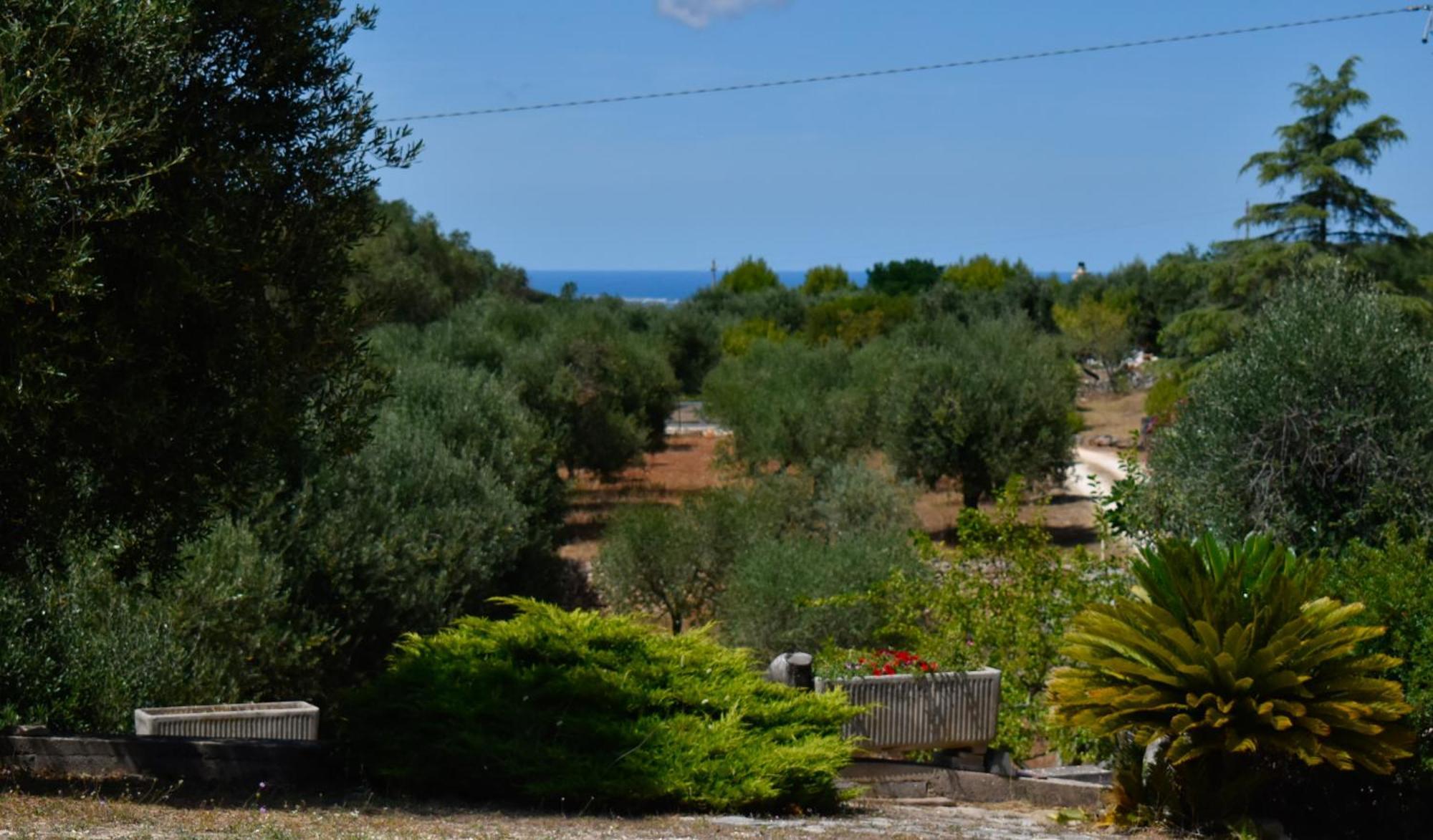 Terre D'Amore - For Couples Hotell Ostuni Eksteriør bilde