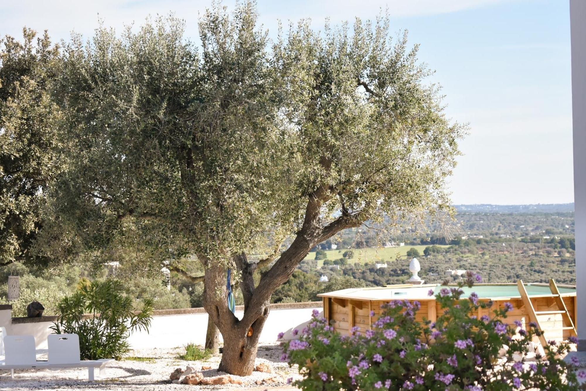 Terre D'Amore - For Couples Hotell Ostuni Eksteriør bilde