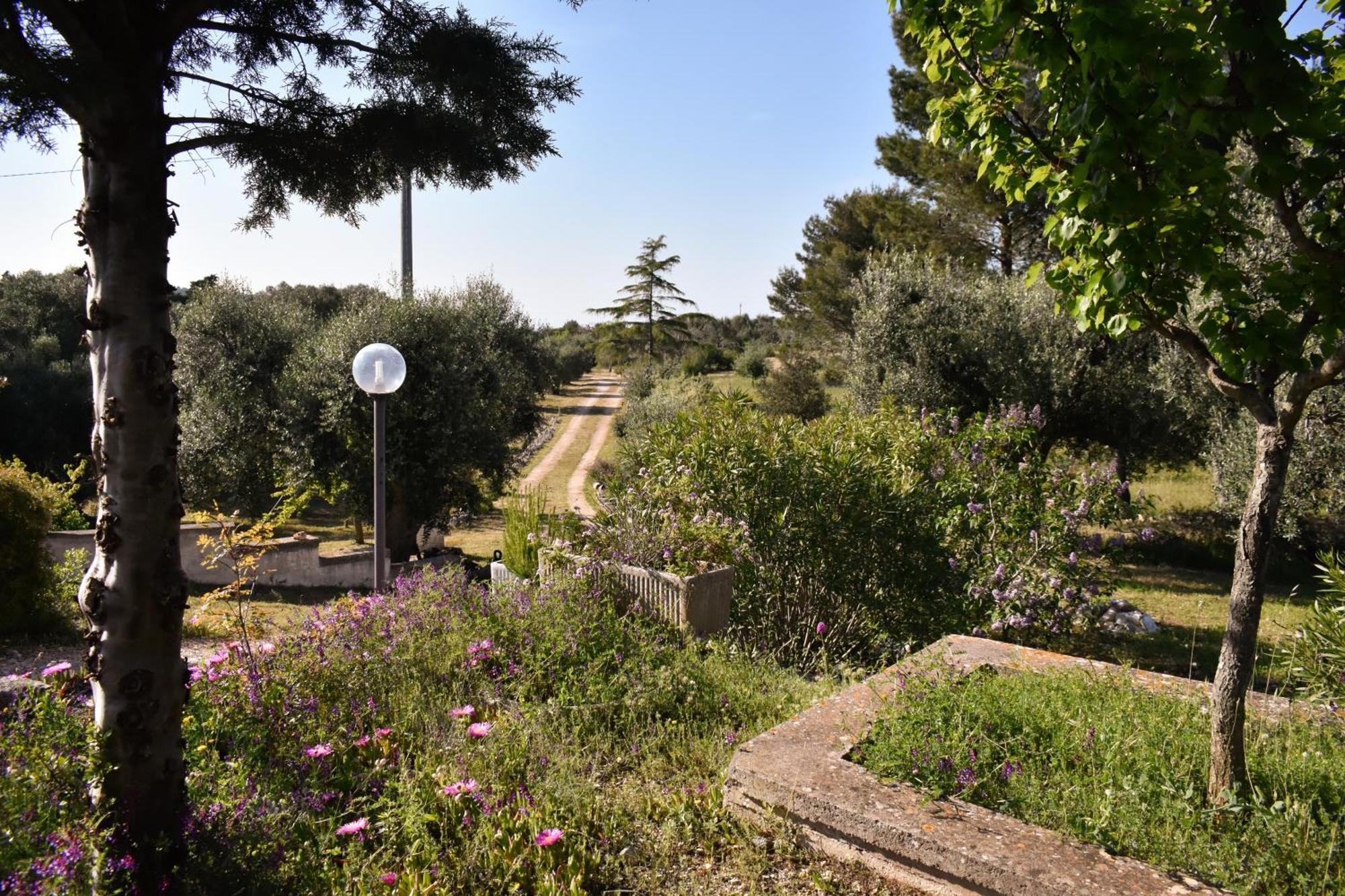 Terre D'Amore - For Couples Hotell Ostuni Eksteriør bilde